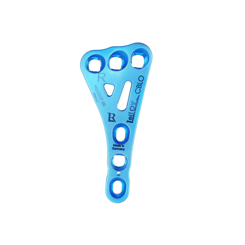 CBLO Plates, Right