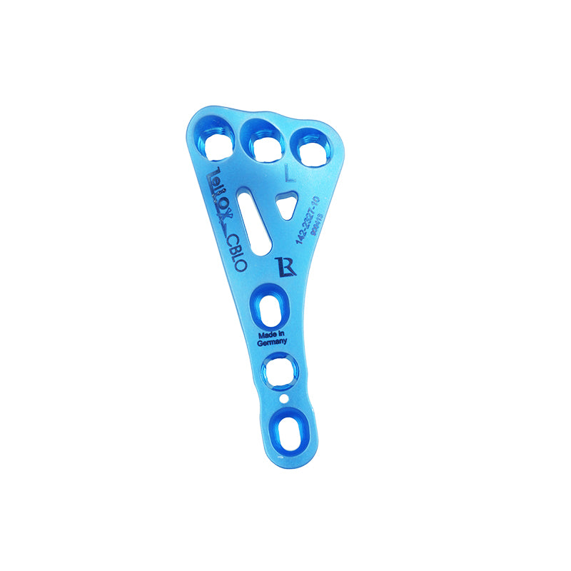 CBLO Plates, Left