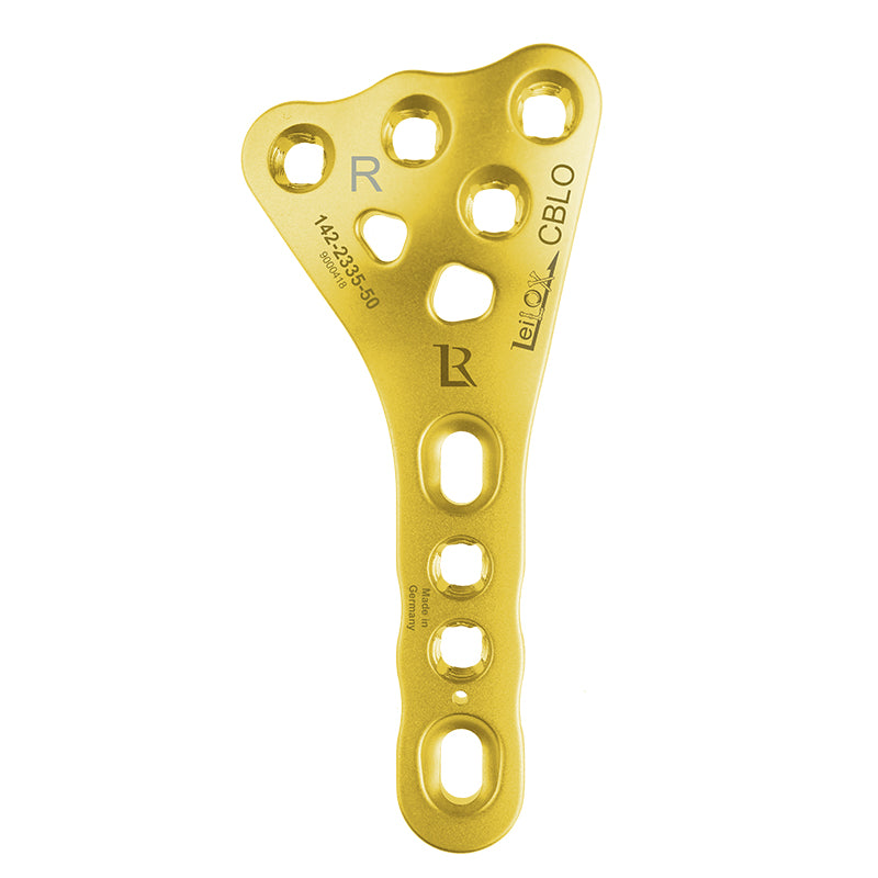 CBLO Plates, Right