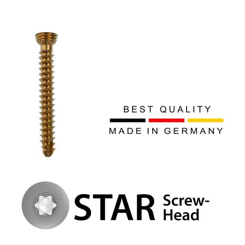 2.4 LeiLOX Locking Screw, Titanium, LeiStar