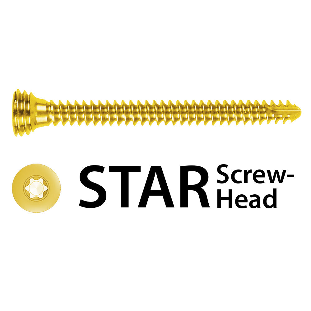 1.3 Locking Screw, Titanium, LeiStar