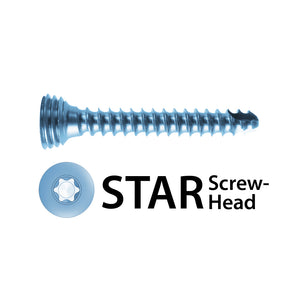 Spinal Cage Locking Screw