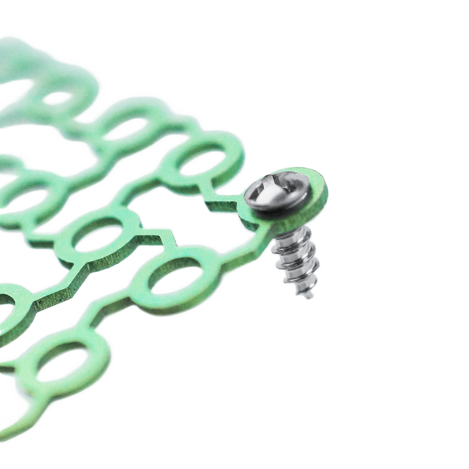 LeiMESH Titanium Screw