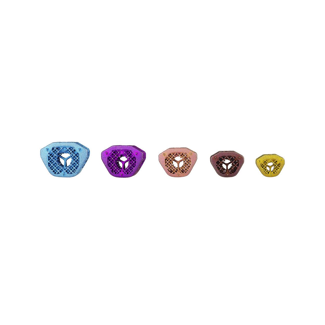 LeiCAGE Intervertebral Cages
